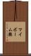 マイボーム腺 Scroll