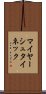 マイヤーシュタイネック Scroll