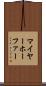 マイヤーホーファー Scroll