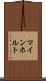 マインホルト Scroll