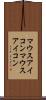 マウスアイコン Scroll