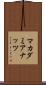 マカダミアナッツ Scroll