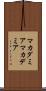 マカダミア Scroll