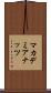 マカデミア・ナッツ Scroll