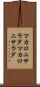 マカロニサラダ Scroll