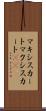 マキシスカート Scroll