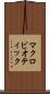 マクロビオティック Scroll