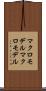 マクロモデル Scroll