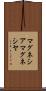 マグネシア Scroll