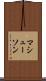 マシューソン Scroll