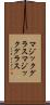 マジックグラス Scroll