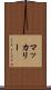 マッカリー Scroll