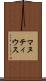 マヌティウス Scroll