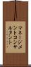 マネージメントコンサルタント Scroll