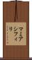 マミアシフィリ Scroll