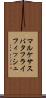 マルケサスバタフライフィッシュ Scroll