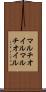 マルチオイル Scroll