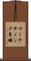 マーケティング策略 Scroll
