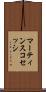 マーティンスコセッシ Scroll