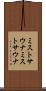ミストサウナ Scroll
