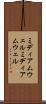 ミディアムウェル Scroll