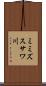 ミミズスサワ川 Scroll