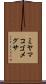 ミヤマコゴメグサ Scroll