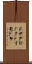 ムナグロムクドリモドキ Scroll