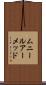 Muneer Ahmed Scroll