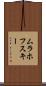 ムラホフスキー Scroll