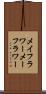 メイフラワー Scroll
