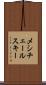 メシチェールスキー Scroll