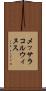 メッサラコルウィヌス Scroll