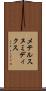 メテルスヌミディクス Scroll