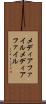 メディアファイル Scroll