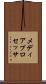 メディア・プロセッサ Scroll