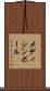 メディシン・ボール Scroll