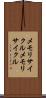メモリサイクル Scroll