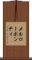 メルローポンティ Scroll
