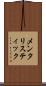 メンタリスティック Scroll
