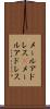 メールアドレス(P) Scroll