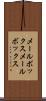 メールボックス Scroll