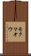 モクマオウ Scroll