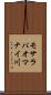 モサラパオマナイ川 Scroll