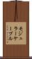 モジュラー・ケーブル Scroll