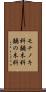 モチノキ科 Scroll