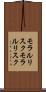 モラルリスク Scroll