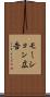 モーション広告 Scroll