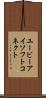 ユービーアイソフトコネクト Scroll