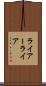 ライアー Scroll